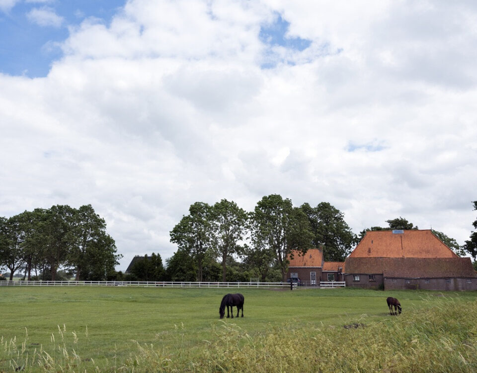 Woonboerderij met schuur, paardenbak en weiland 10,4% of 2% overdrachtsbelasting